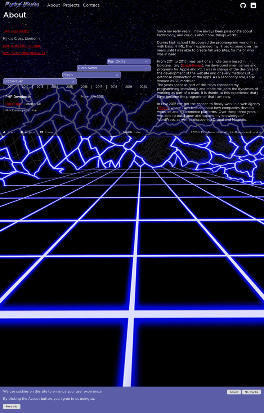 Piero Nanni.com screenshot 1